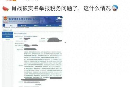 娱乐圈虚假爆料揭秘,真相与谣言的较量