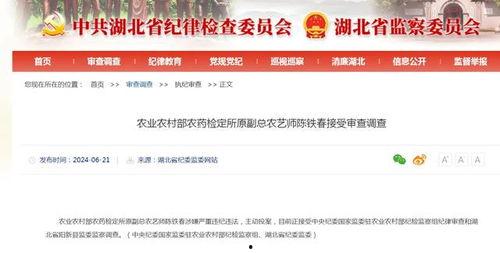 竹山农香最新爆料新闻,最新爆料新闻背后的真相  第3张