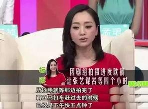 杨蓉圈内爆料事件视频,揭秘娱乐圈不为人知的一面  第3张
