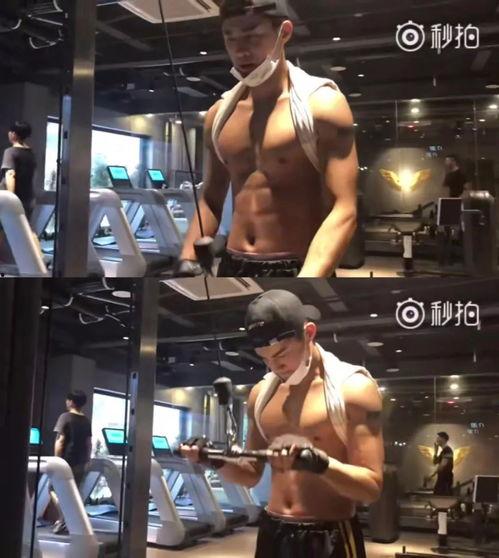 健身最新爆料视频完整版,完整版健身技巧与训练方法大公开  第2张