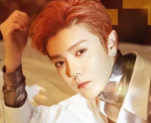 娱乐圈鹿晗爆料知乎,那些不为人知的真相与内幕” 第3张 娱乐圈鹿晗爆料知乎,那些不为人知的真相与内幕” 第3张