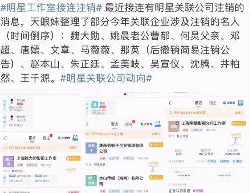 中国娱乐圈最新爆料网址,揭秘明星幕后故事  第2张