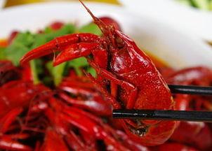龙虾最新爆料新闻内容  第2张